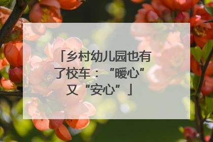 乡村幼儿园也有了校车：“暖心”又“安心”