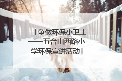 争做环保小卫士——五台山西路小学环保宣讲活动