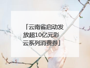 云南省启动发放超10亿元彩云系列消费券