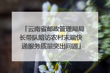 云南省邮政管理局局长带队暗访农村末端快递服务质量突出问题