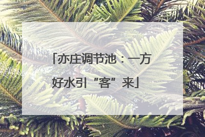 亦庄调节池：一方好水引“客”来
