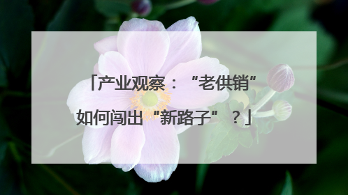 产业观察：“老供销”如何闯出“新路子”？
