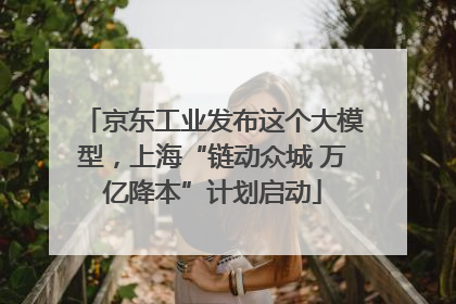 京东工业发布这个大模型，上海“链动众城 万亿降本”计划启动