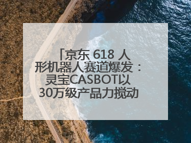 京东 618 人形机器人赛道爆发：灵宝CASBOT以30万级产品力搅动行业新变局