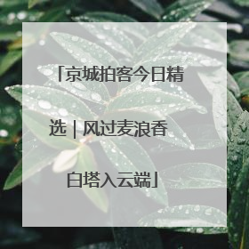京城拍客今日精选｜风过麦浪香 白塔入云端
