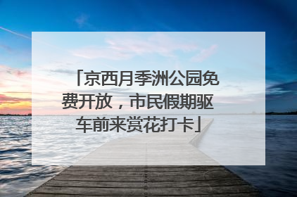 京西月季洲公园免费开放，市民假期驱车前来赏花打卡