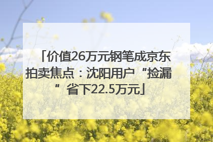 价值26万元钢笔成京东拍卖焦点：沈阳用户“捡漏”省下22.5万元