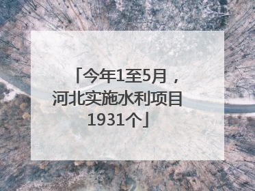 今年1至5月，河北实施水利项目1931个