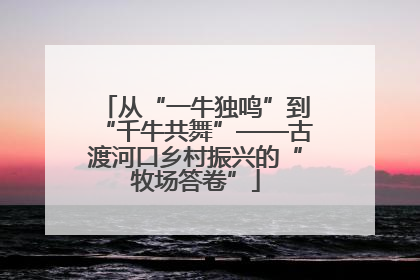 从“一牛独鸣”到“千牛共舞”——古渡河口乡村振兴的“牧场答卷”
