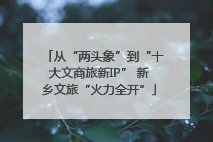 从“两头象”到“十大文商旅新IP” 新乡文旅“火力全开”