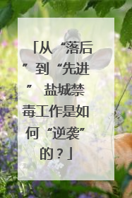 从“落后”到“先进” 盐城禁毒工作是如何“逆袭”的？