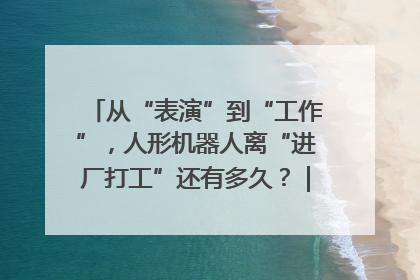 从“表演”到“工作”，人形机器人离“进厂打工”还有多久？｜机器人商业新纪元