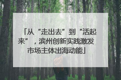 从“走出去”到“活起来”，滨州创新实践激发市场主体出海动能
