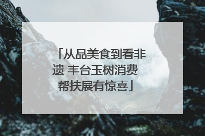 从品美食到看非遗 丰台玉树消费帮扶展有惊喜