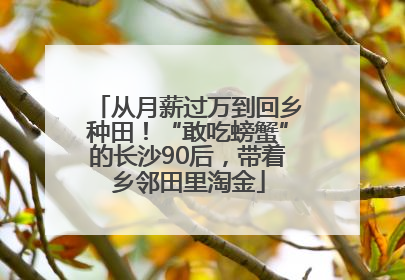 从月薪过万到回乡种田！“敢吃螃蟹”的长沙90后，带着乡邻田里淘金