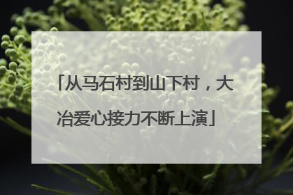 从马石村到山下村，大冶爱心接力不断上演