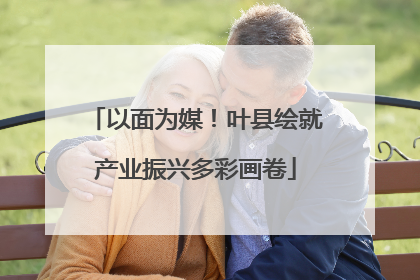 以面为媒！叶县绘就产业振兴多彩画卷