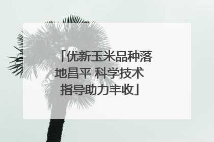 优新玉米品种落地昌平 科学技术指导助力丰收