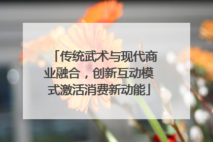 传统武术与现代商业融合，创新互动模式激活消费新动能