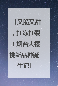 又脆又甜，扛冻扛裂！烟台大樱桃新品种诞生记