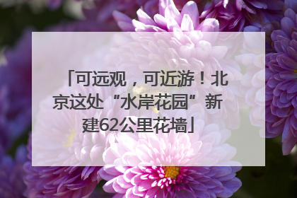 可远观，可近游！北京这处“水岸花园”新建62公里花墙