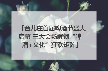 台儿庄首届啤酒节盛大启幕 三大会场解锁“啤酒+文化”狂欢矩阵