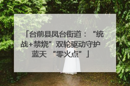 台前县凤台街道：“统战+禁烧”双轮驱动守护蓝天 “零火点”