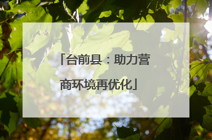 台前县：助力营商环境再优化