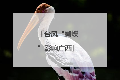 台风“蝴蝶”影响广西
