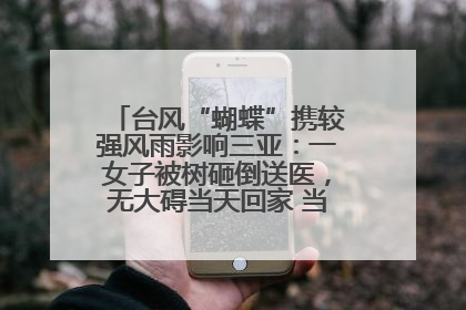 台风“蝴蝶”携较强风雨影响三亚：一女子被树砸倒送医，无大碍当天回家 当地已紧急清障