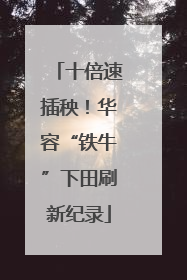 十倍速插秧！华容“铁牛”下田刷新纪录