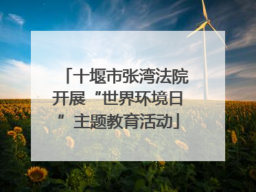 十堰市张湾法院开展“世界环境日”主题教育活动