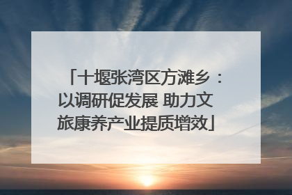 十堰张湾区方滩乡：以调研促发展 助力文旅康养产业提质增效