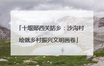 十堰郧西关防乡：沙沟村绘就乡村振兴文明画卷