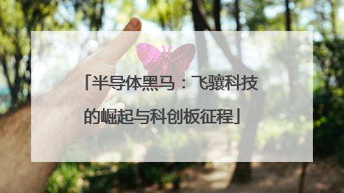 半导体黑马：飞骧科技的崛起与科创板征程