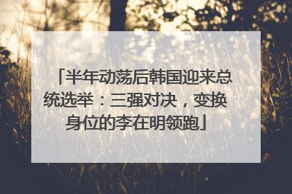 半年动荡后韩国迎来总统选举：三强对决，变换身位的李在明领跑