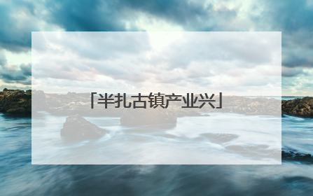 半扎古镇产业兴