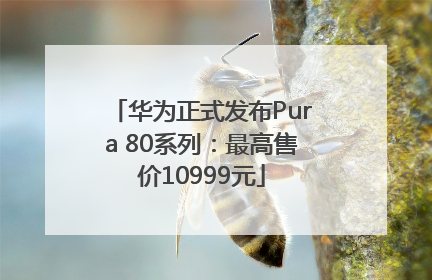 华为正式发布Pura 80系列：最高售价10999元