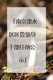 南京溧水区区管领导干部任前公示
