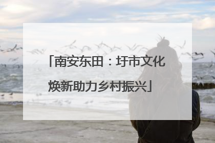 南安东田：圩市文化焕新助力乡村振兴