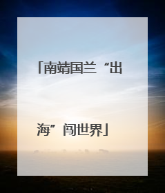 南靖国兰“出海”闯世界