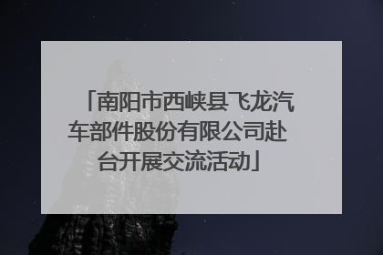 南阳市西峡县飞龙汽车部件股份有限公司赴台开展交流活动