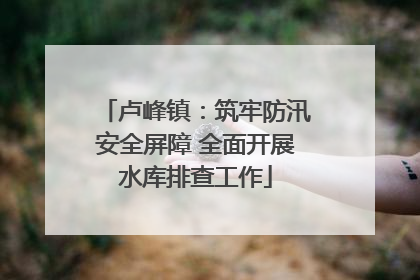 卢峰镇：筑牢防汛安全屏障 全面开展水库排查工作