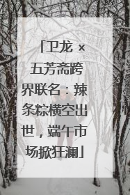 卫龙 × 五芳斋跨界联名：辣条粽横空出世，端午市场掀狂澜
