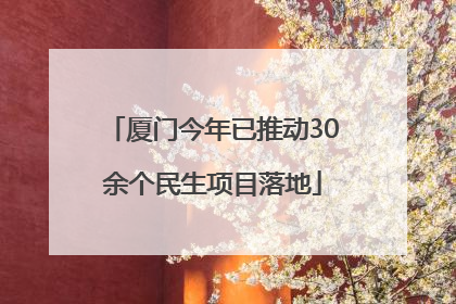 厦门今年已推动30余个民生项目落地