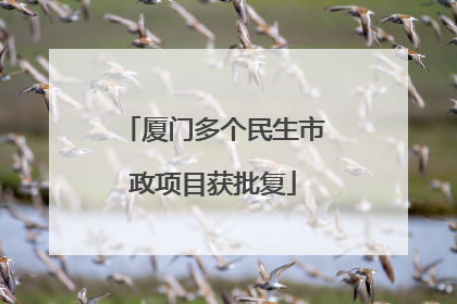 厦门多个民生市政项目获批复