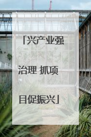 兴产业强治理 抓项目促振兴