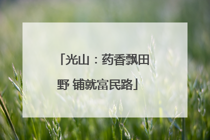 光山：药香飘田野 铺就富民路