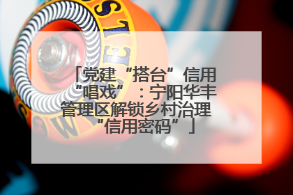 党建“搭台”信用“唱戏”：宁阳华丰管理区解锁乡村治理“信用密码”