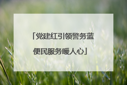 党建红引领警务蓝 便民服务暖人心
